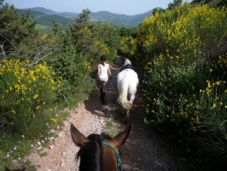 Experimenle la naturaleza a caballo